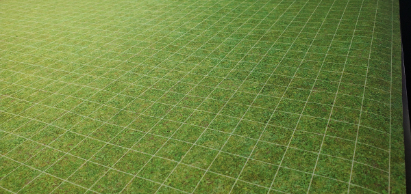 Grass Play mat w/ 1" Grid / GripMat Perfect for D&D, Pathfinder, Daggerheart, and more!  Dry/Wet Erase Compatible
