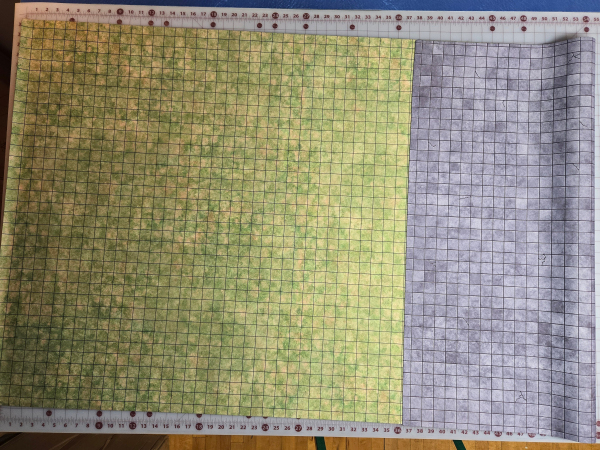 Double-Sided Grassland and Dungeon Tile w/ 1" grid on both sides Perfect for D&D, Daggerheart, and other RPGs!  Dry/Wet Erase Compatible